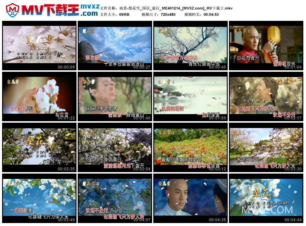 雨柔-梨花雪_国语_流行_ME401214